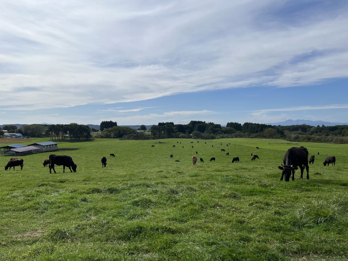 SASAKI FARMの写真